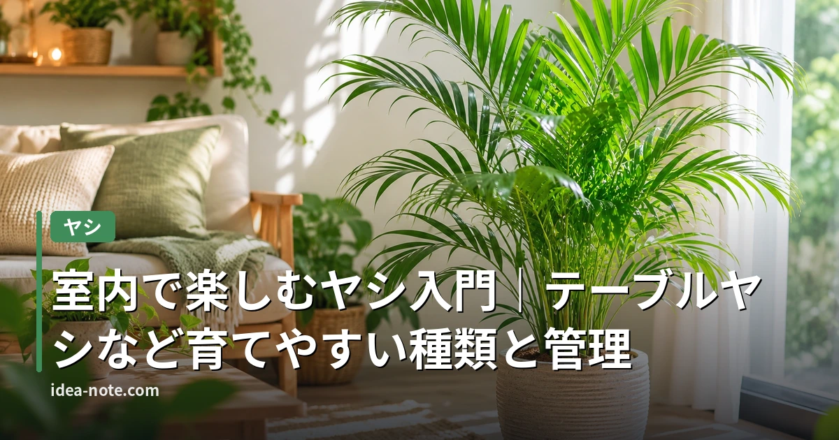 室内で楽しむヤシ入門｜テーブルヤシなど育てやすい種類と管理