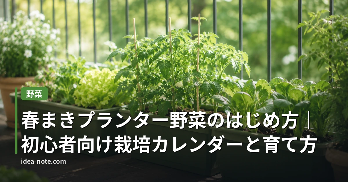 春まきプランター野菜のはじめ方｜初心者向け栽培カレンダーと育て方