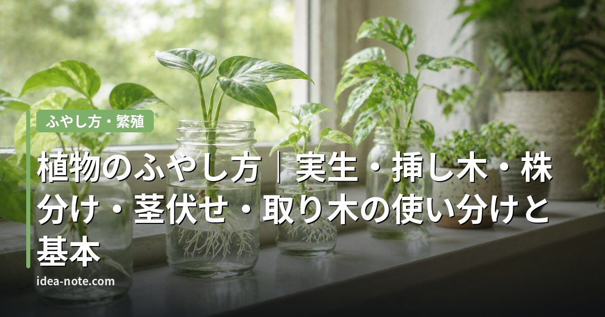 植物のふやし方｜実生・挿し木・株分け・茎伏せ・取り木の使い分けと基本