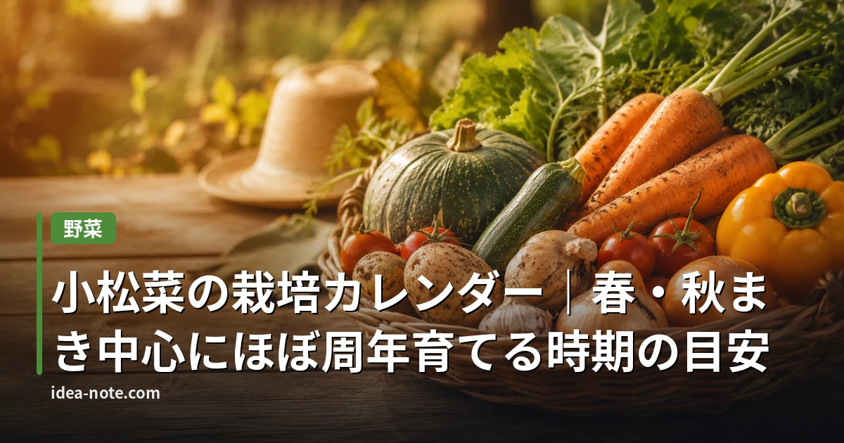 小松菜の栽培カレンダー｜春・秋まき中心にほぼ周年育てる時期の目安