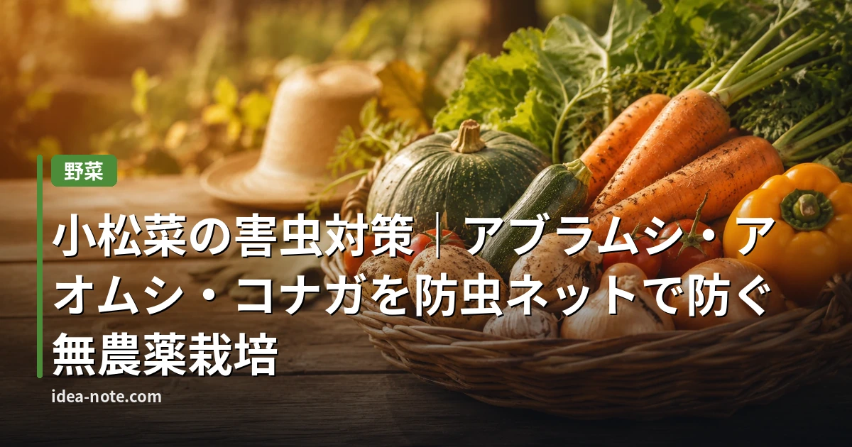 小松菜の害虫対策｜アブラムシ・アオムシ・コナガを防虫ネットで防ぐ無農薬栽培