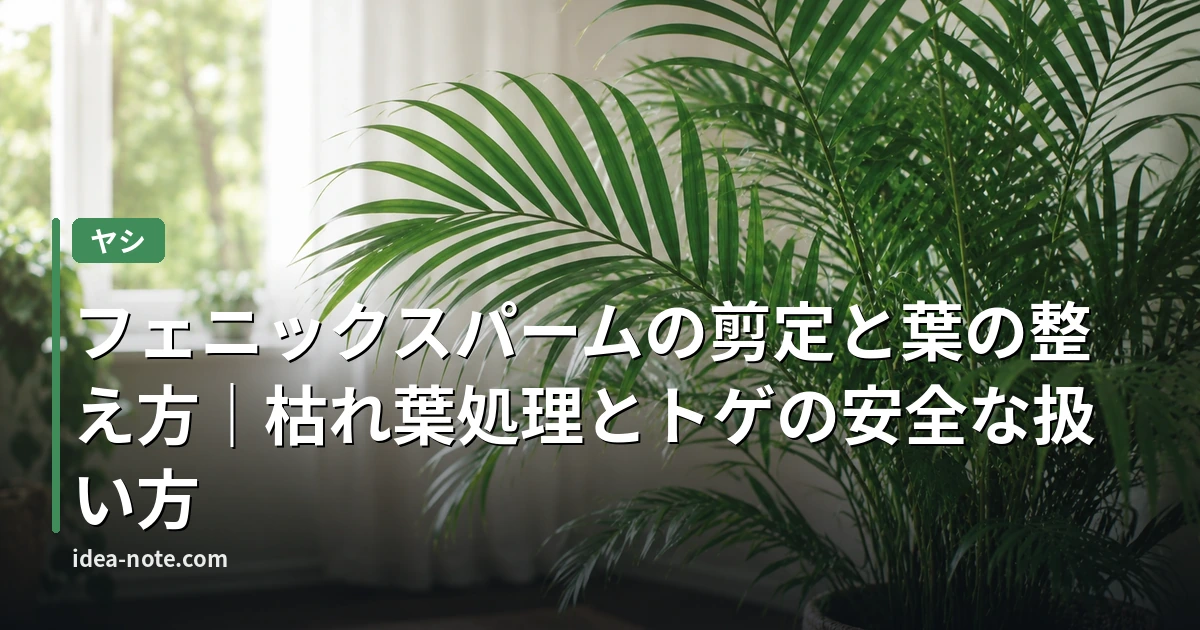 フェニックスパームの剪定と葉の整え方｜枯れ葉処理とトゲの安全な扱い方