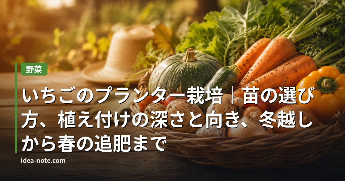 いちごのプランター栽培｜苗の選び方、植え付けの深さと向き、冬越しから春の追肥まで