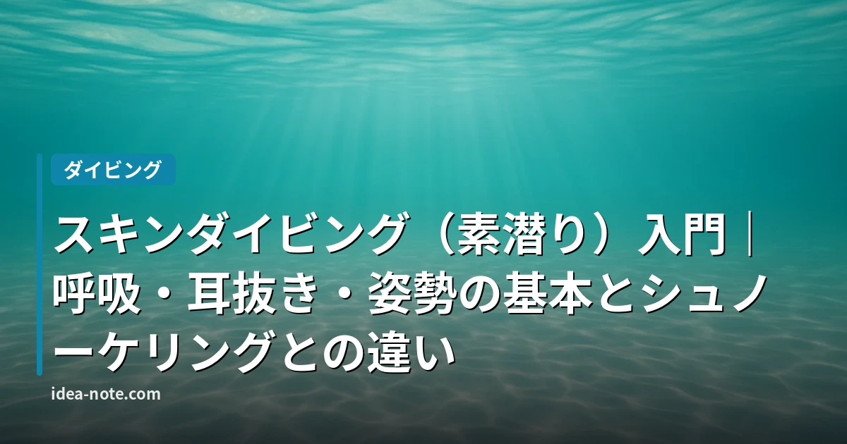 スキンダイビング（素潜り）入門｜呼吸・耳抜き・姿勢の基本とシュノーケリングとの違い